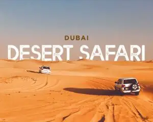 Desert Safari