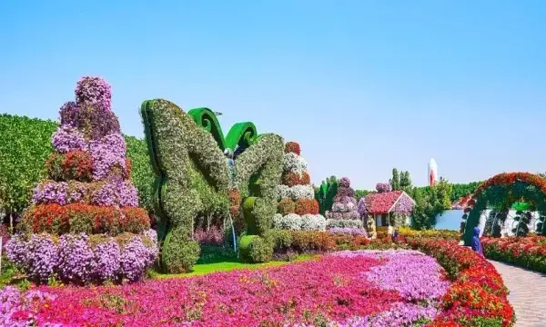 Dubai Miracle Garden